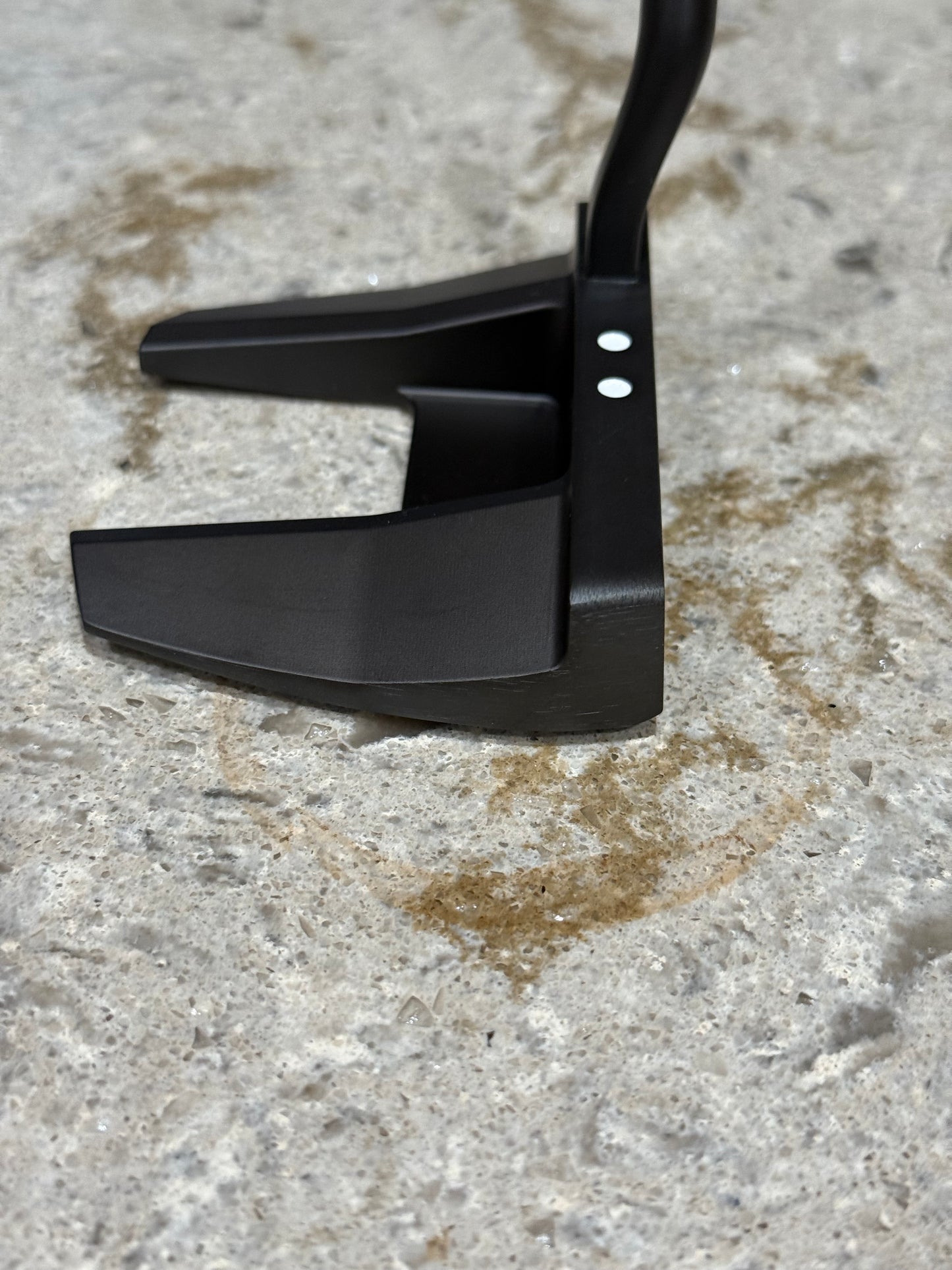 2 Dot Mallet putter